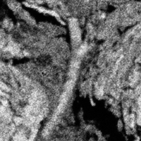 Kodak 35mm TX400 Tri-X 400 Black and White B&W Negative Film Drum Scan 8000 spi dpi Downsampled to 4000